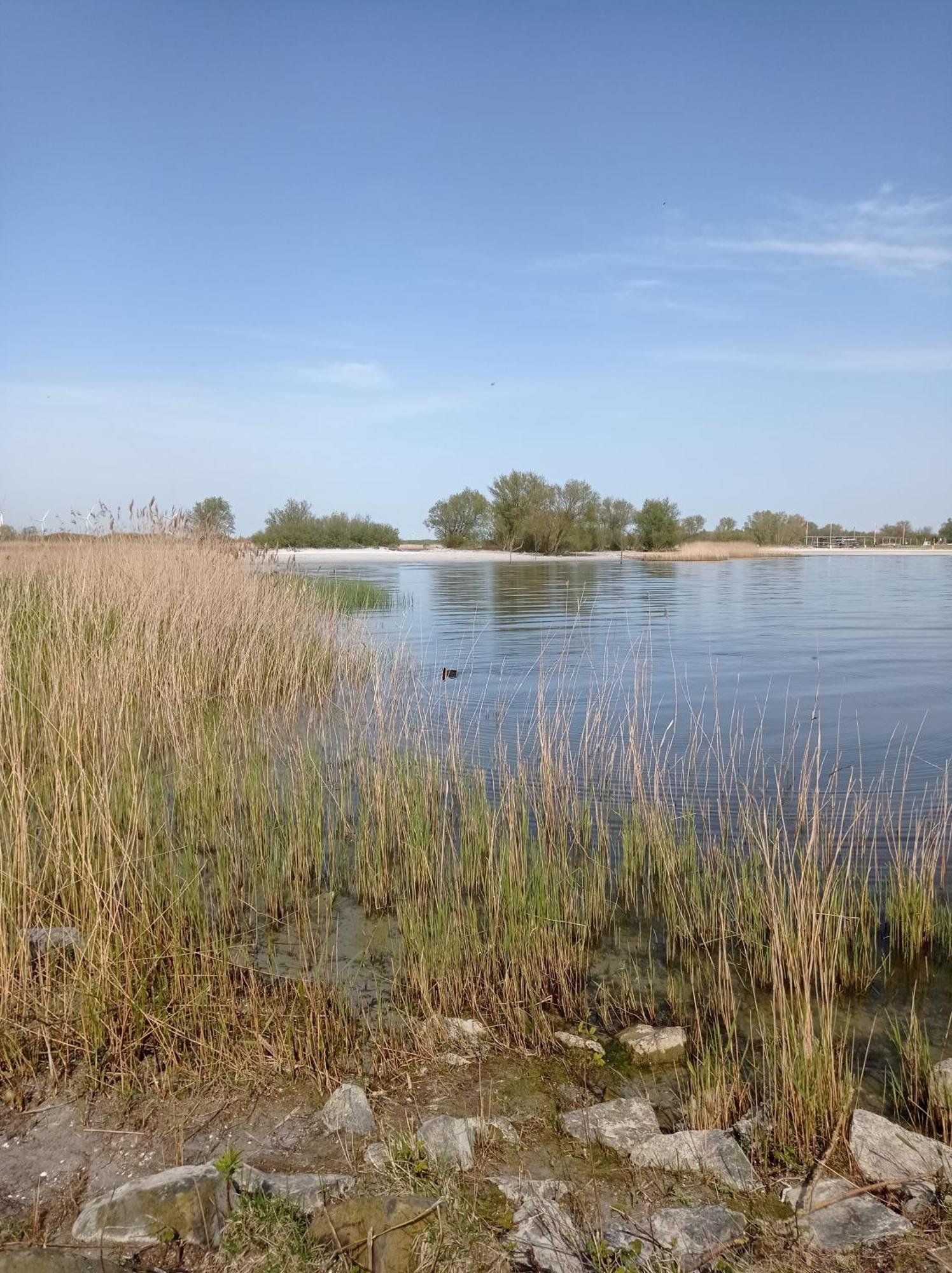 Appartement Ijsselmeer Makkum Strand Экстерьер фото